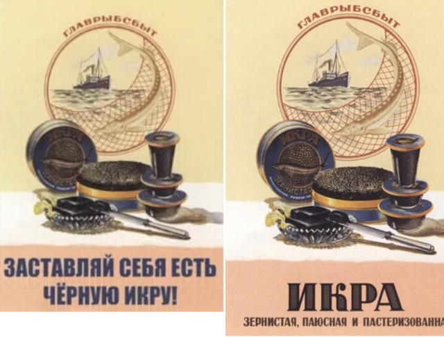 В СССР это необычное мясо было очень популярно, а теперь его невозможно купить: вот почему исчезли консервы из кита