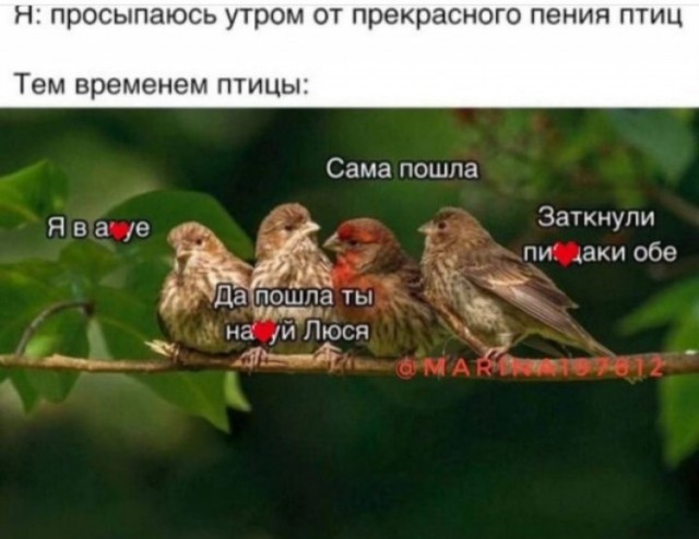 В Москве таксист и другой водитель начали «забивать стрелку» прямо на дороге и при пассажирах