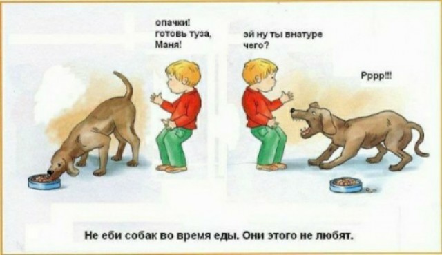 Завалялось тут случайно немного забавных картинок