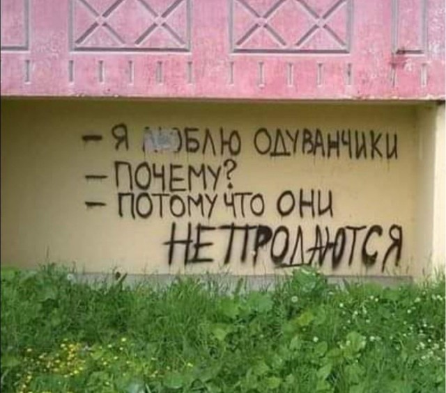 Мысли на стене