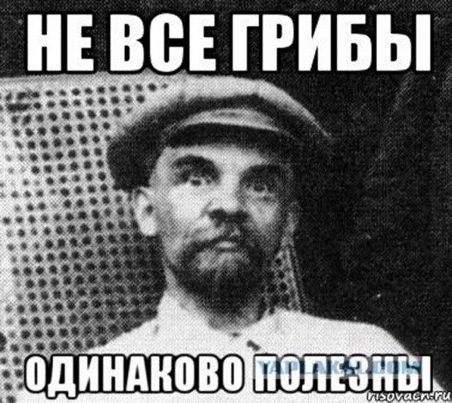 Прикольные и просто красивые картинки 28.06.2024