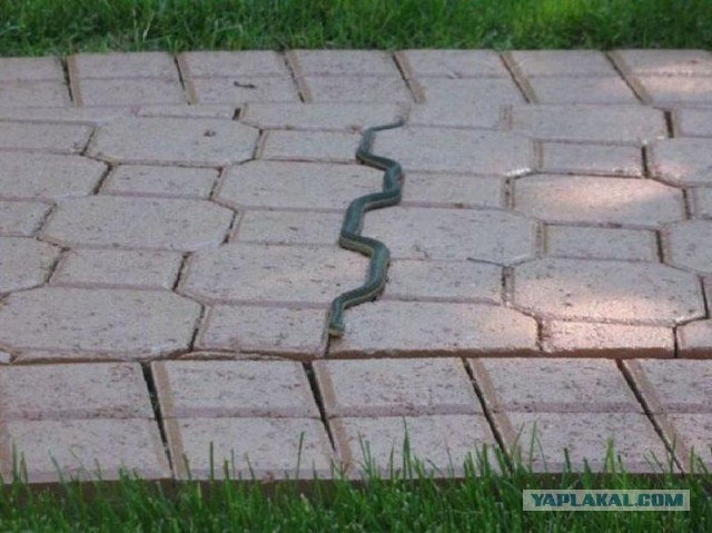 Вышел утром на крыльцо