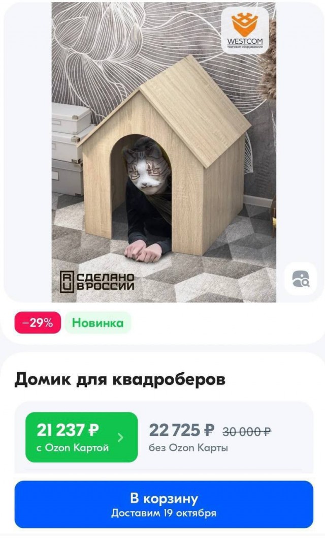 У меня лапки