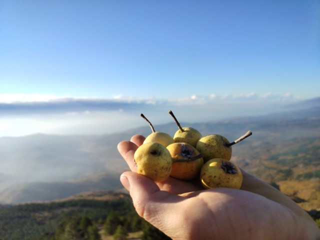Осень в Крыму