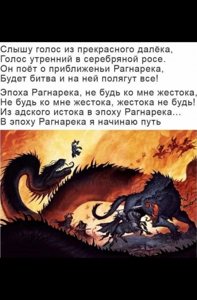 Так себе картинки 24.11.24
