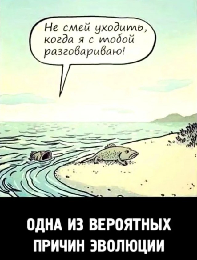 Завалялось тут случайно немного забавных картинок