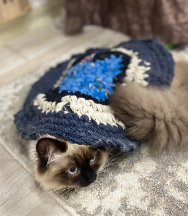 Мои сибирские красотки