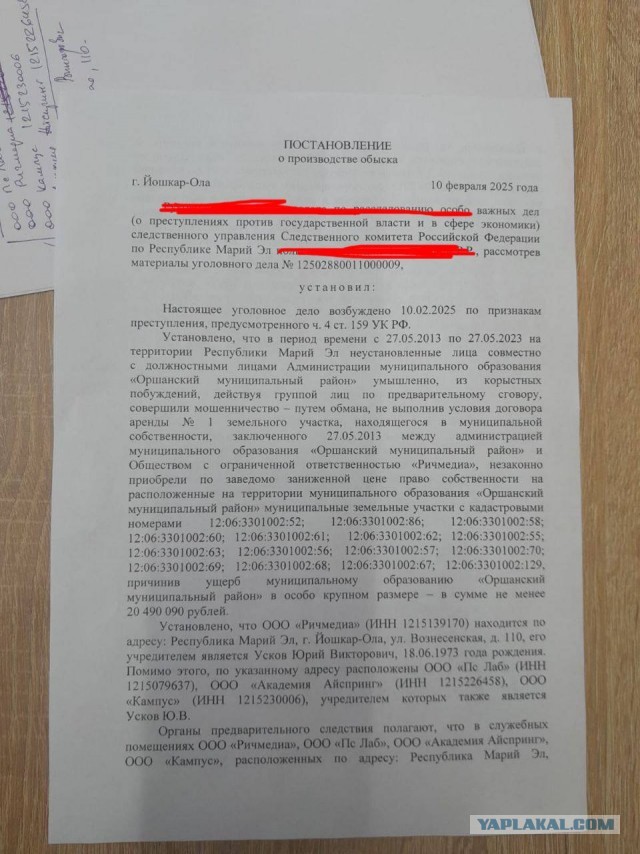В Йошкар-Оле задержали русского it-предпринимателя