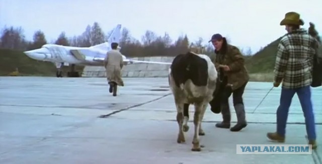 Не служил – не поздравляйте!