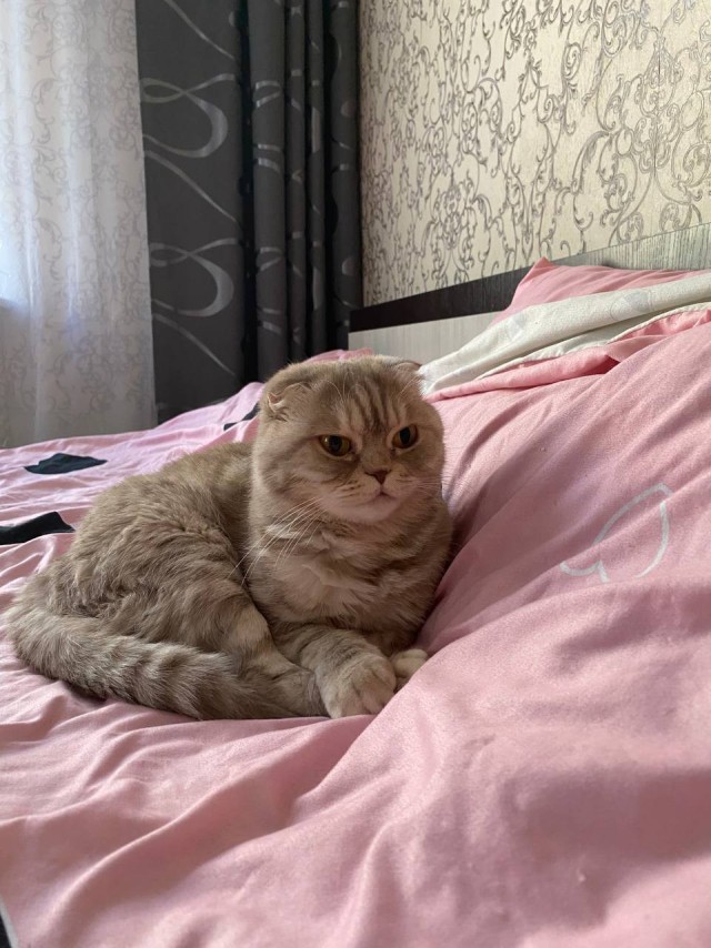 Картинки разные с надписями и без