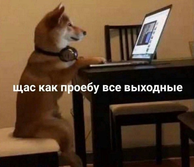 Так себе картинки 17.06.25
