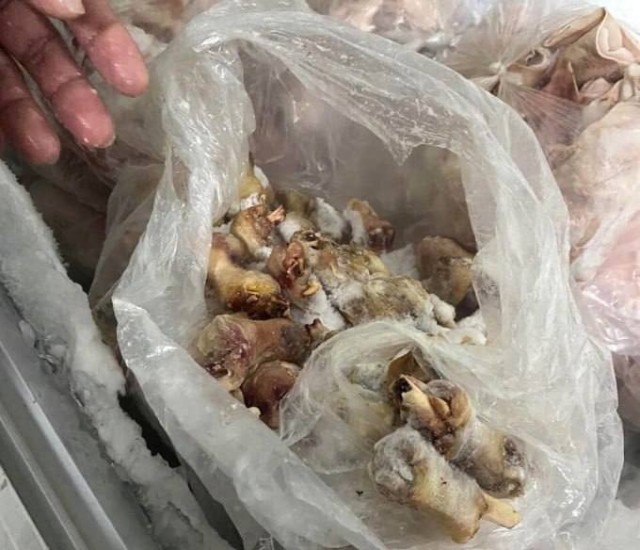 В Орле три точки общепита готовили шаурму из мяса собак и котов