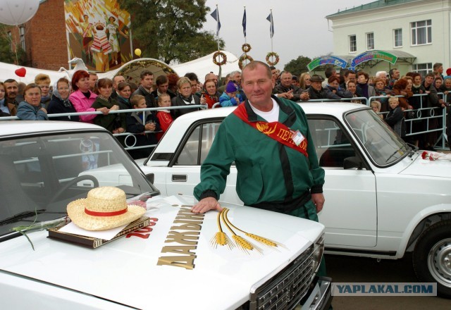 Бацька шерстит
