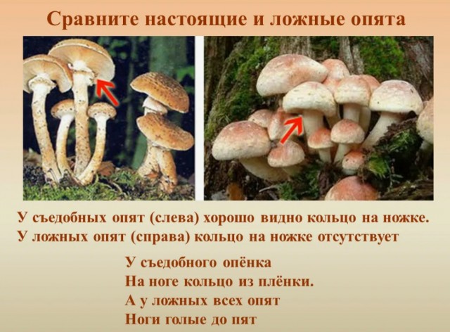 Пятница 12