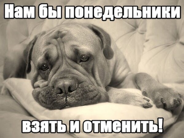 Картинки для бодрости духа