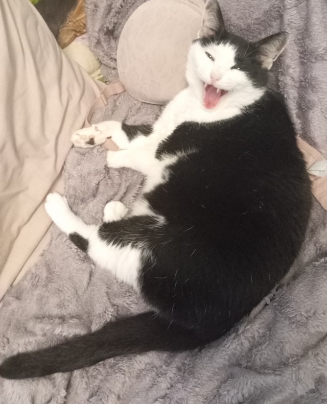 Срочно в номер!