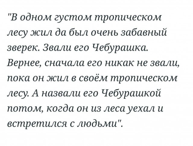 «Я в шоке от нашей думы». Экс-супруга создателя Чебурашки отреагировала на теорию о еврейском происхождении персонажа