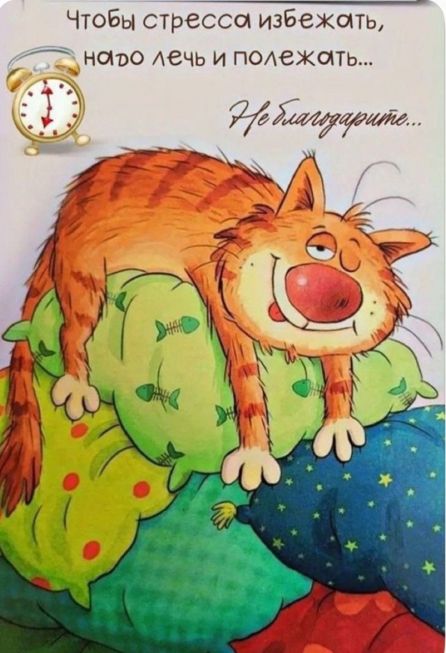 Прикольные и просто красивые картинки 18.11.2025