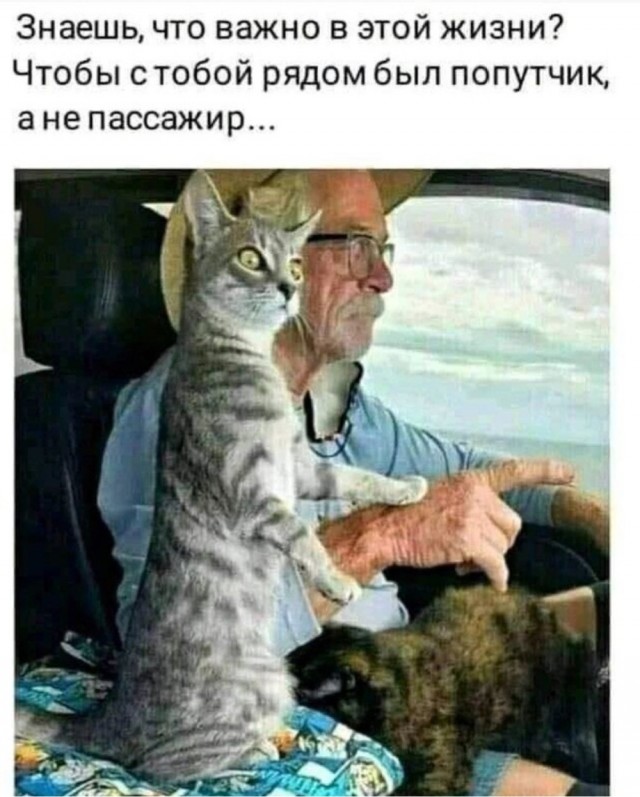 Воскресные картинки