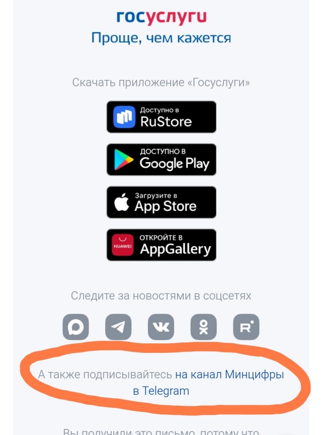 Про Макс, Госуслуги и биометрию