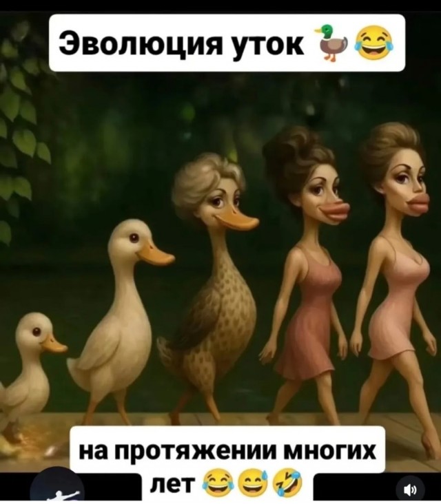 Среды картинки
