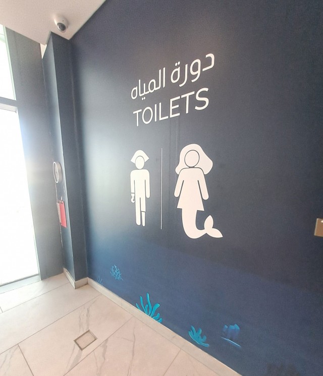 Дубайск в декабре