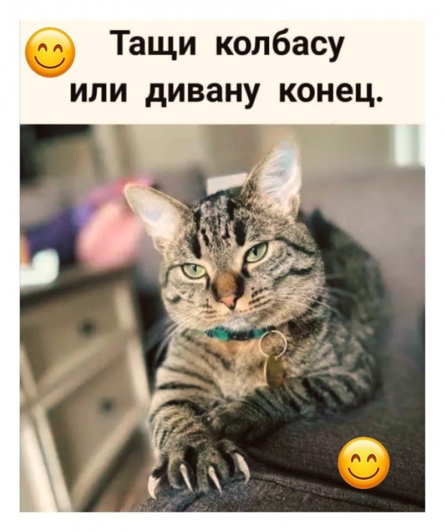 Воскресные картинки