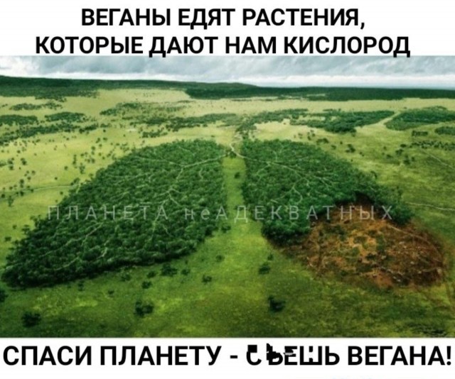 Маленькая пятница 04.03