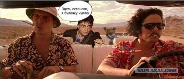 Армия Навального: зачем мы вышли на Манежную?