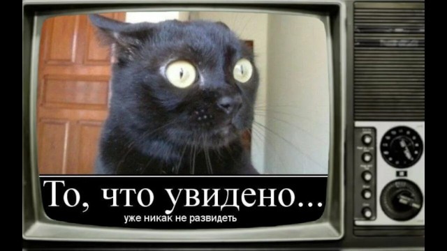 Где женщины находят нормальных адекватных мужчин?