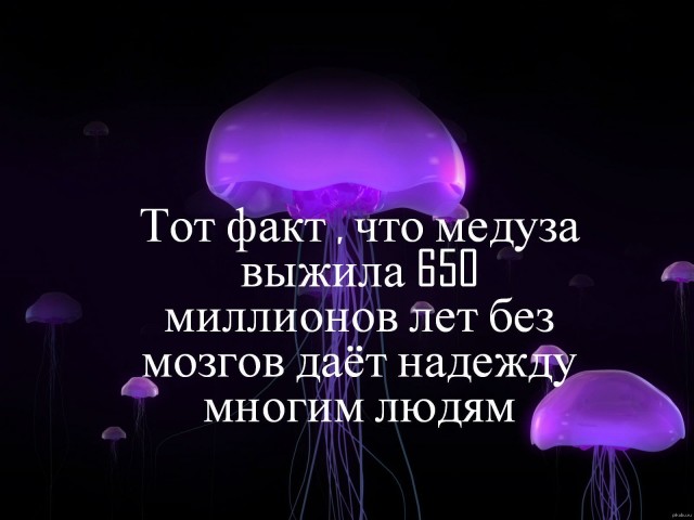 Название темы сами придумайте.