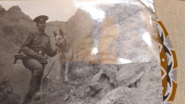 Старший товарищ