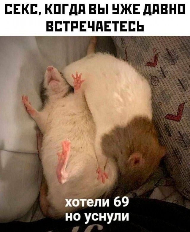 Картинки для деградации 189 (разной степени свежести)