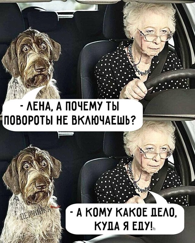 Картинки для деградации 197 (разной степени свежести)