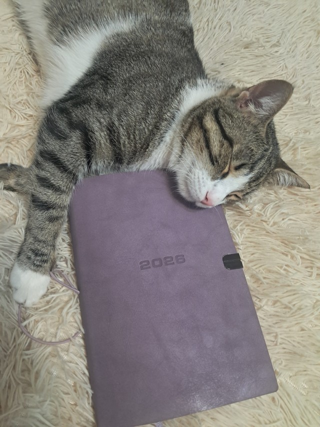 Лежал, много думал.