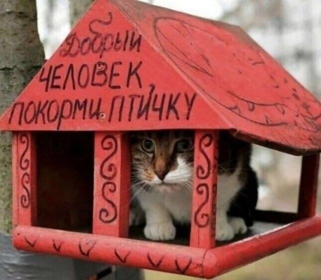 Заселился