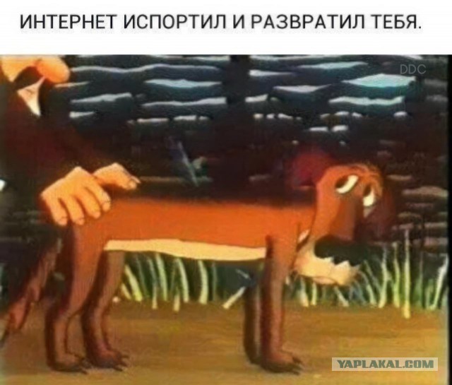 А вы что подумали