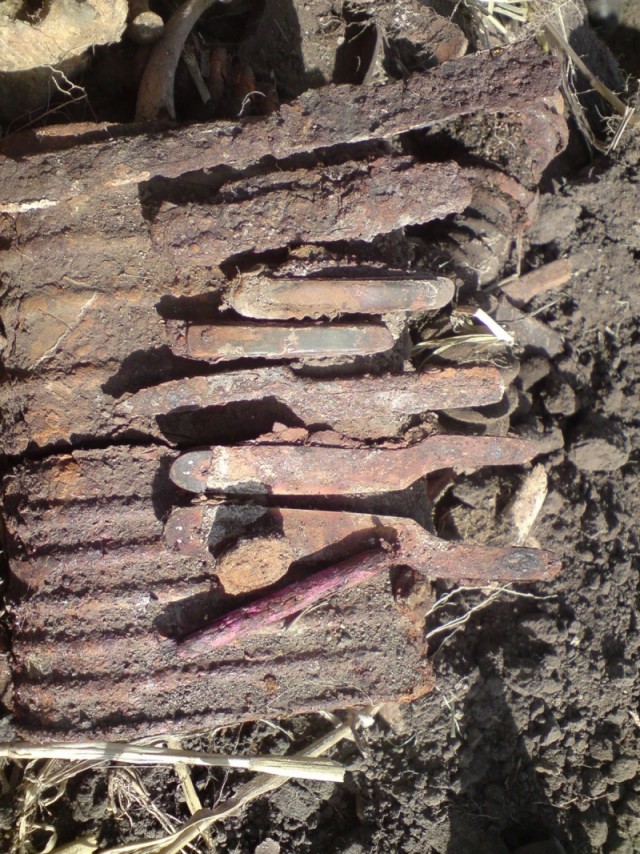 Оржицкая общественная организация Мемориал