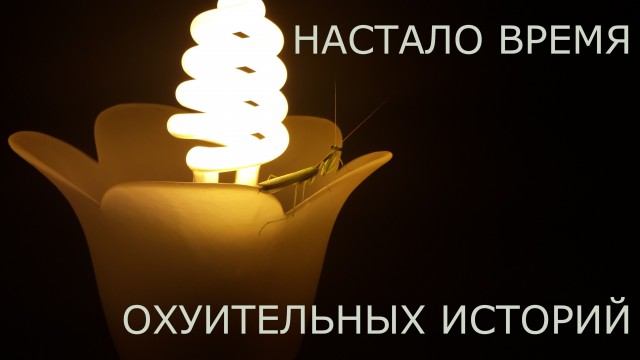 Обновленный мем.