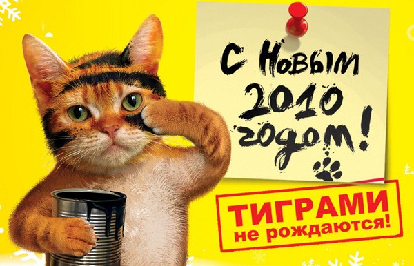 Тиграми не рождаются!