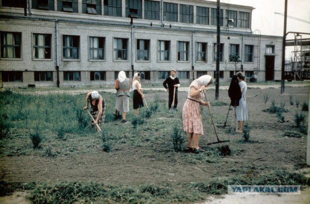 Советские фотографии Джона Шульца