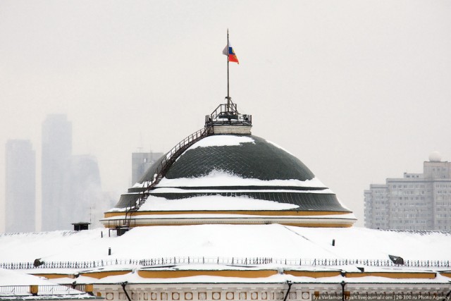 В Москве снег выпал. Сильно выпал!