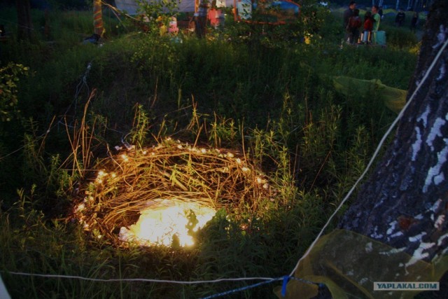 Пустые холмы 2011