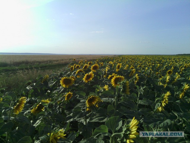 ВелоОтпуск