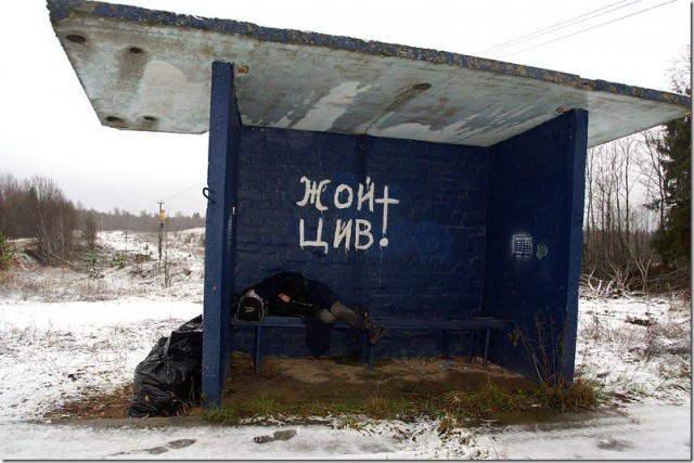 А Жой-то - Цив!