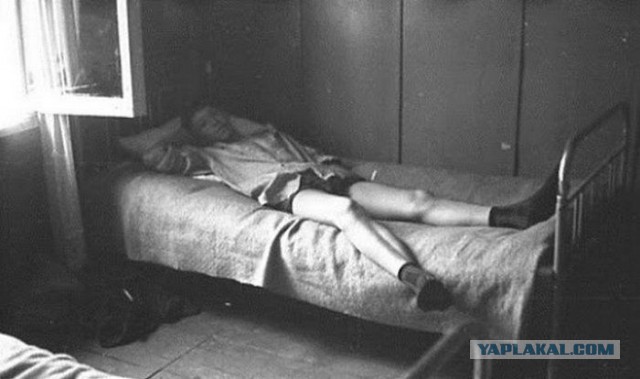 Приходит с утра жена к мужу