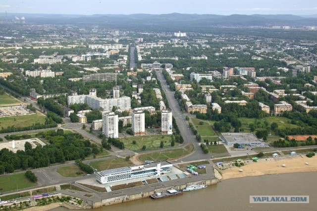 Когда деревья были большими