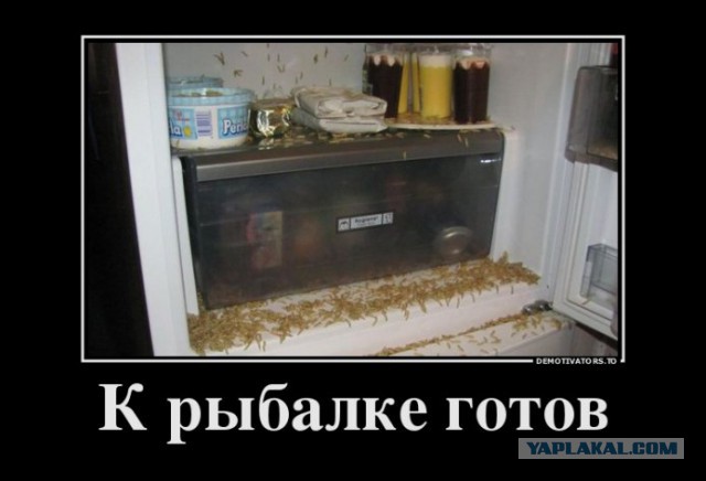 Забавные картинки из Сети