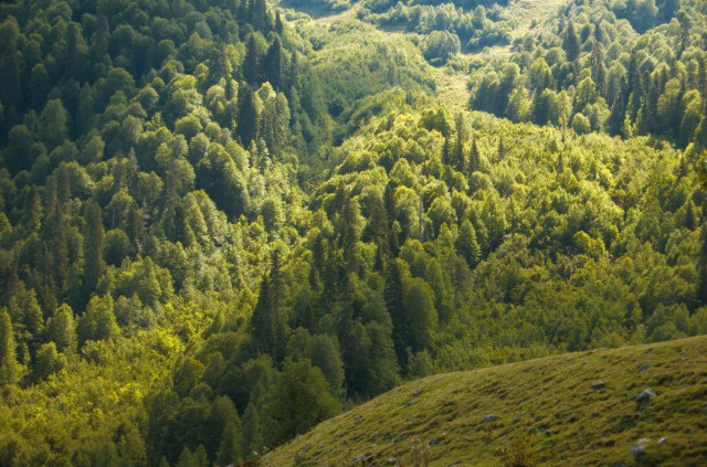 Моё увлечение фотографией