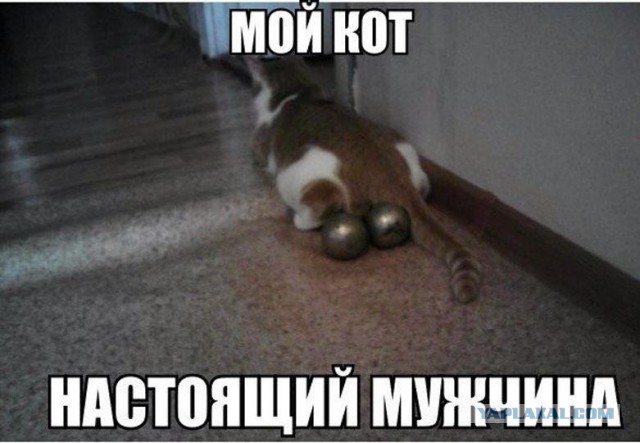 Не очень Смешные картинки